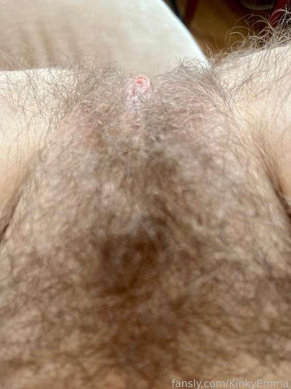 Hairy crotch! Wanna touch?

#hairypussy #hairy #hairycrotch