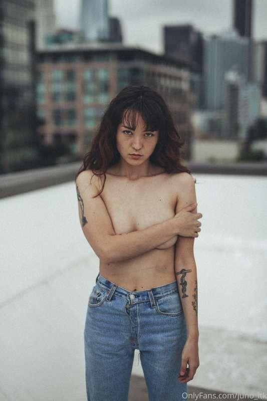 juno_ltk image #2