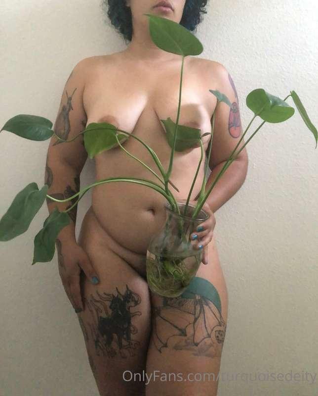 turquoisedeity image #0