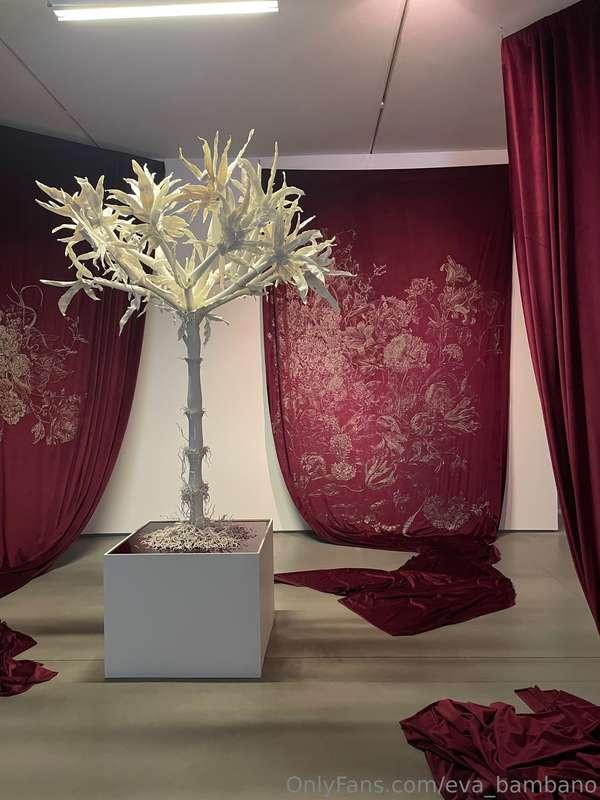 eva_bambano image #0