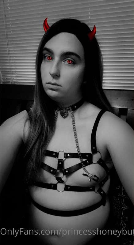 I got a new harness. How do I look?