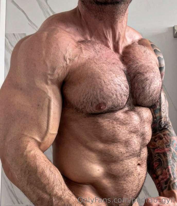 🦍🦍