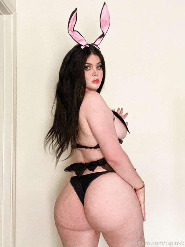 Naughty bunny 🐰