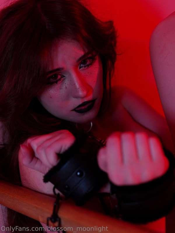 blossom_moonlight image #0