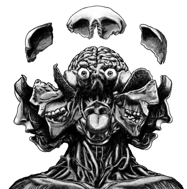 Pinky and the Brain