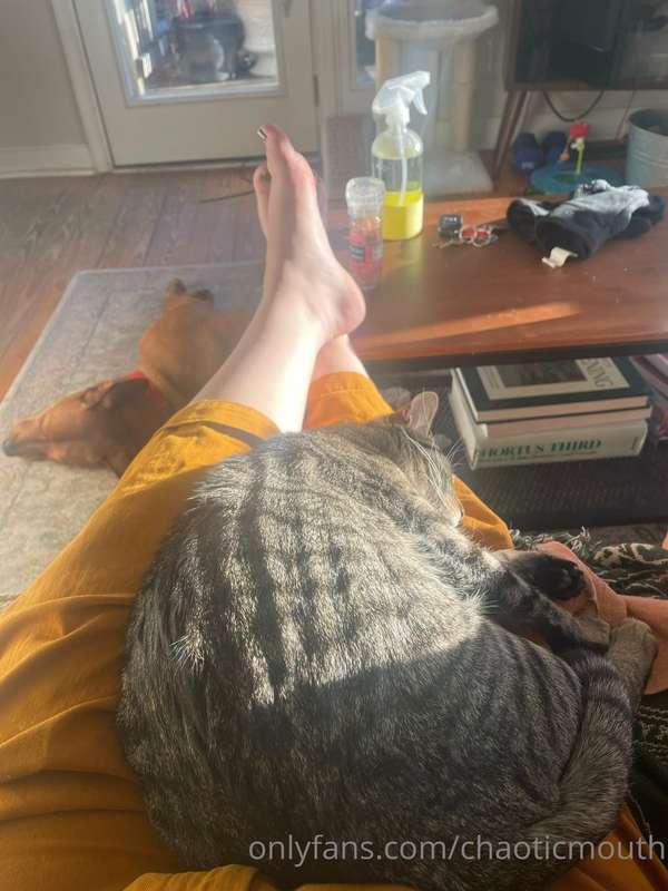 pussy n toes