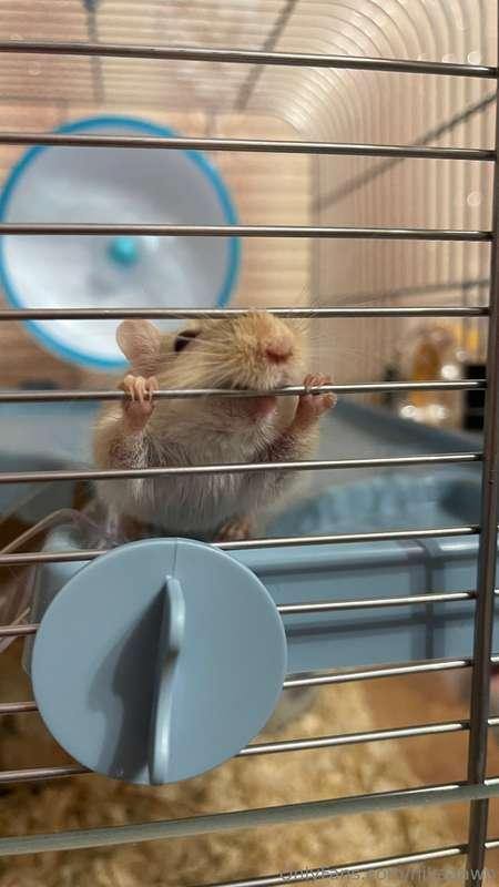 Hey, everybody! ❤️I want to share some good news! A couple o..