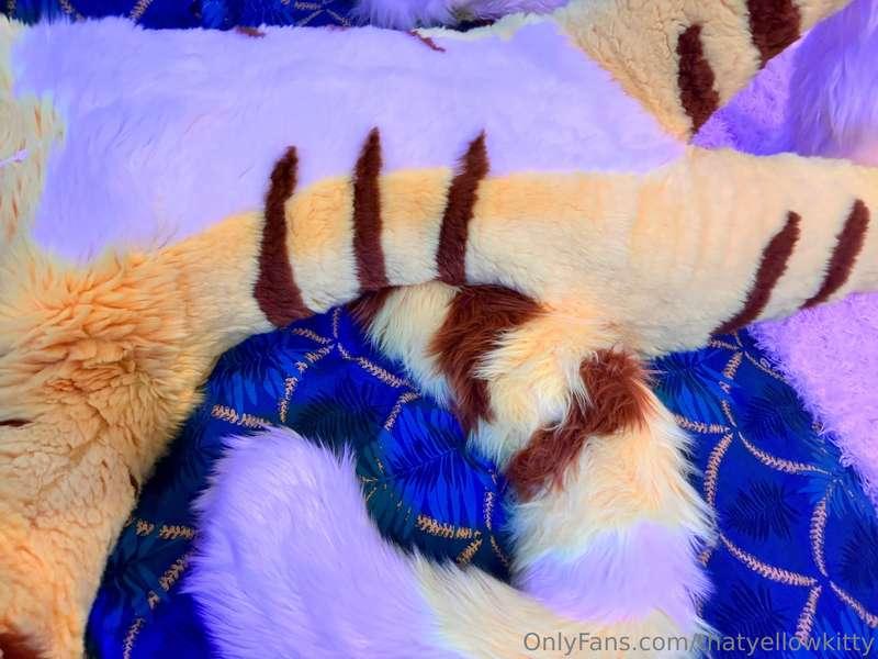 It’s fluffy season!!! 