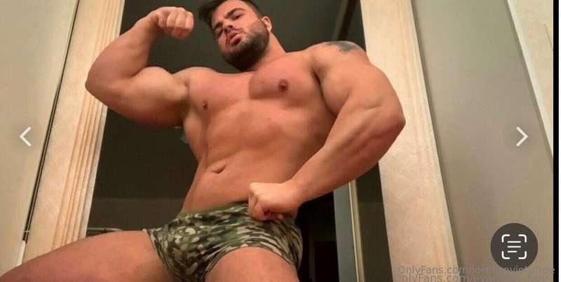 lorenzoviotafree image #2