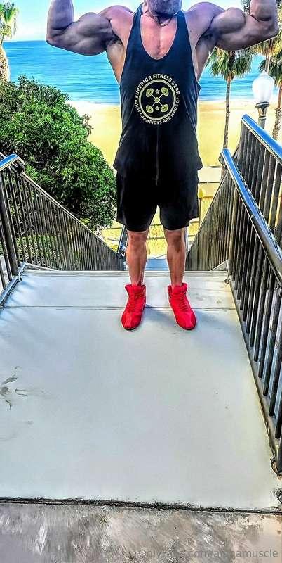 alphamuscle image #4