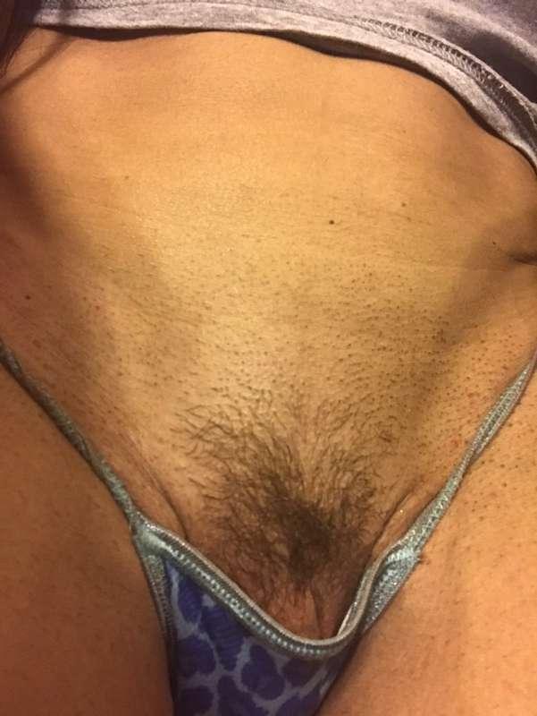 Yah or nah?  I know I have guys that love the bush and some ..