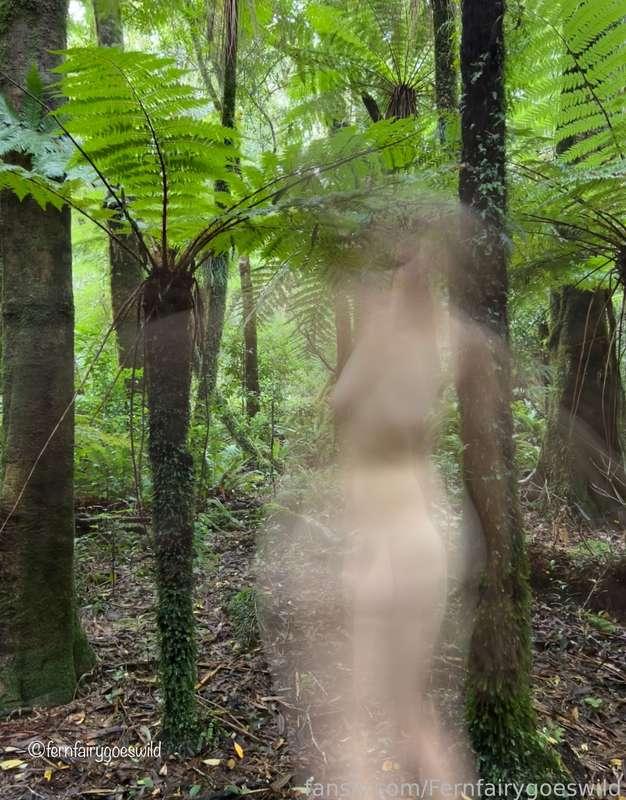 fernfairygoeswild image #1