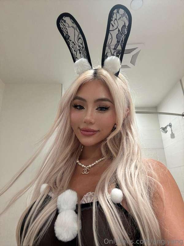 Plz pet the bunny... she luvs to be petted 🐰