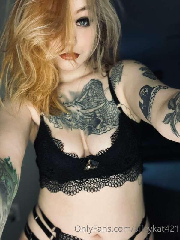 alleykat421 image #1