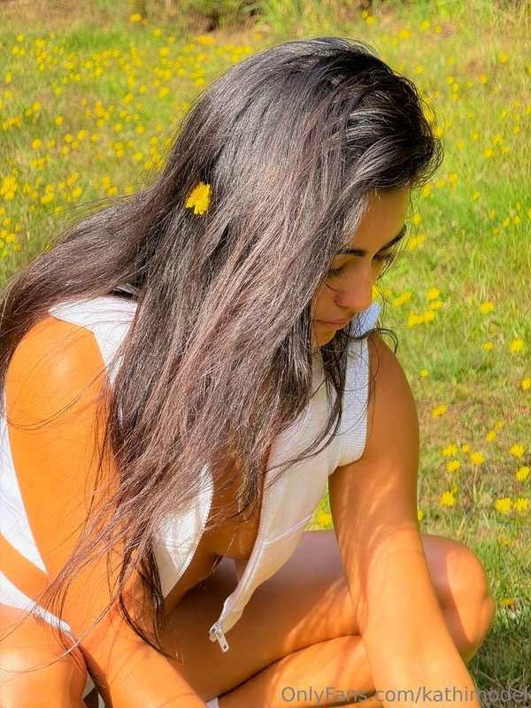 A Moment with Dandelions by the Oregon CoastlineThe coastal ..