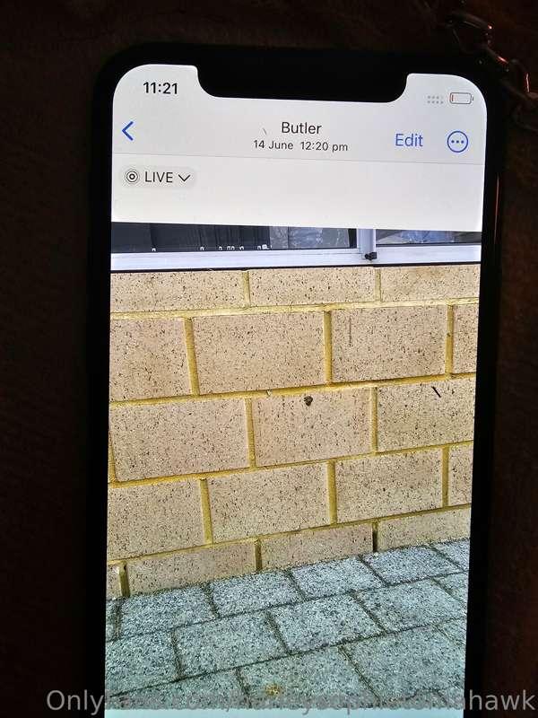 harleysophietomahawk image #17