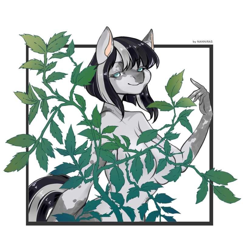 YCHS 