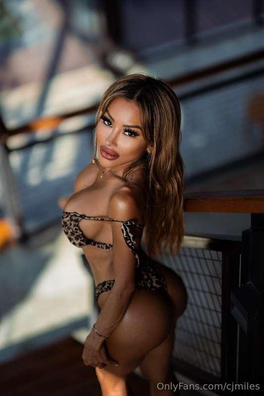Feeling wild today…Wanna be my prey or make me purr? 🐆 😋