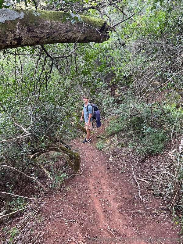 missalexthorn image #16