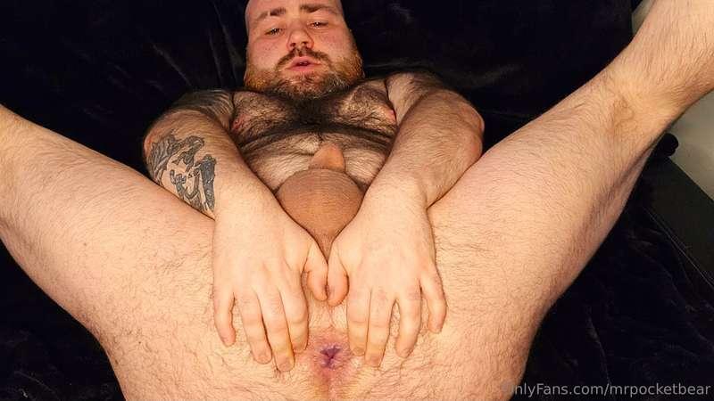 mrpocketbear image #0