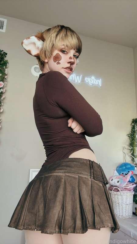 indigowhite image #56