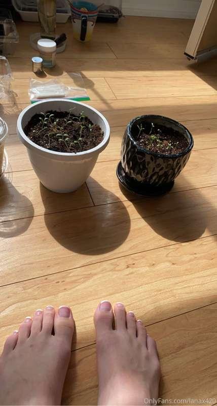 new babies and my feet pre-pedicure 🌱🐲