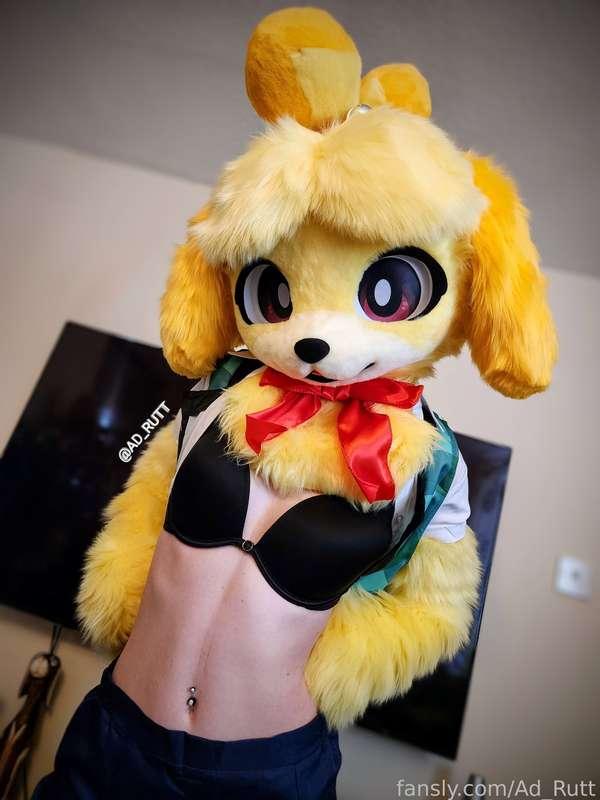 
Hey, Mayor~💛
Lets go back to your house...😉

#murrsuit #murr #succubus #tattoos #piercings  #furry #fursuit #puppy #puppygirl #cosplay #isabelle #animalcrossing 