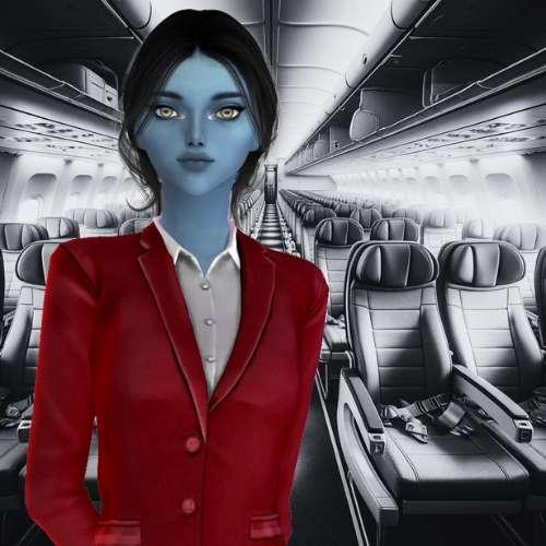 FLIGHT ATTENDANT | TS4 Career Mod