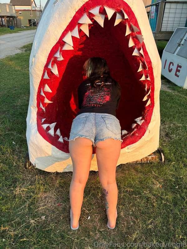 Oh no ! A shark ate me