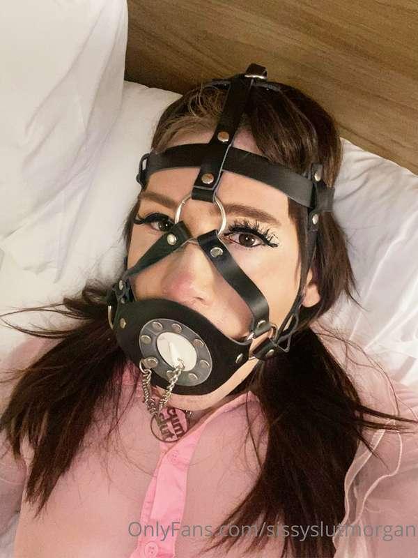 sissyslutmorgan image #0