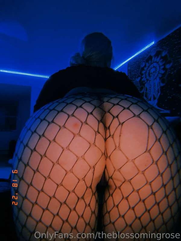 where are my fishnet booty lovers?