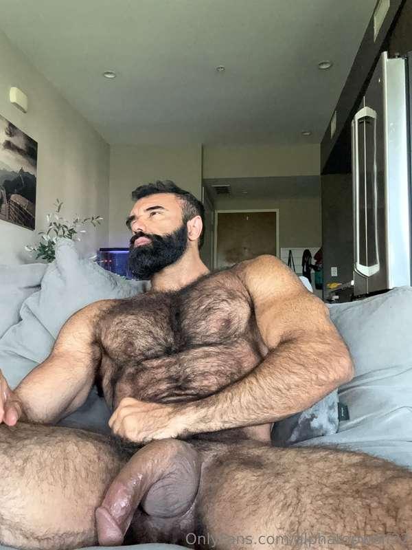 alphatopwolf22 image #0