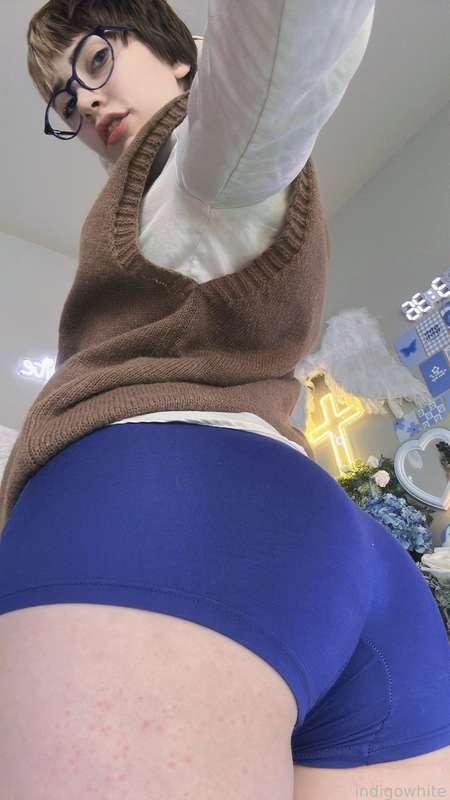 indigowhite image #269