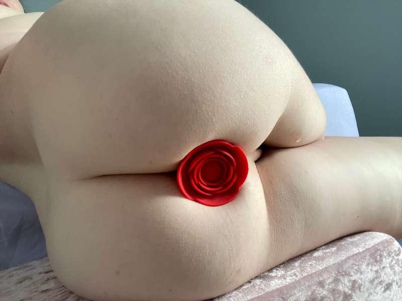 Rose butt plug 🌹