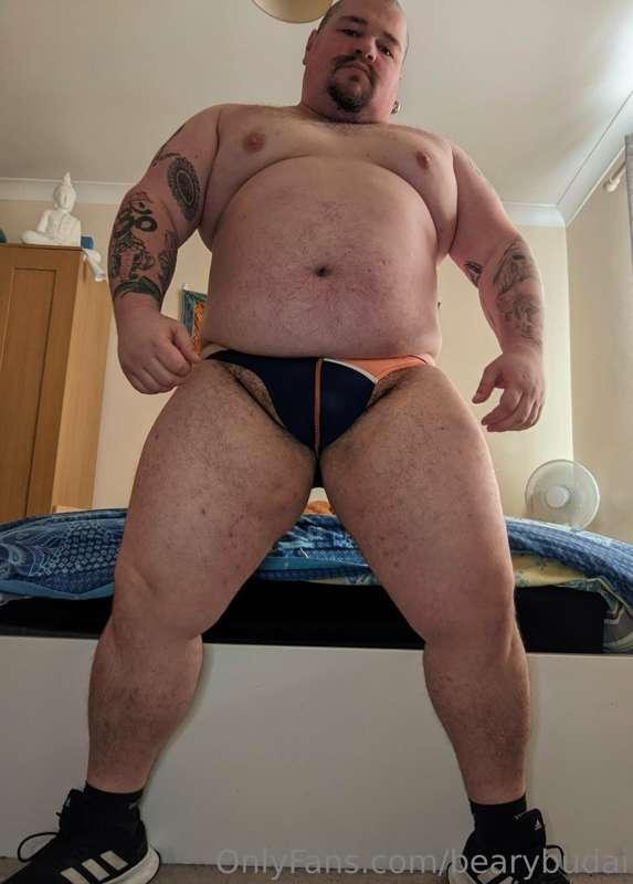 bearybudai image #22