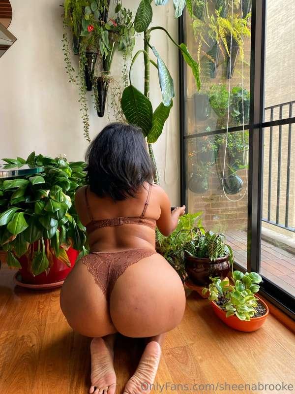 Such a garden girl now 🪴