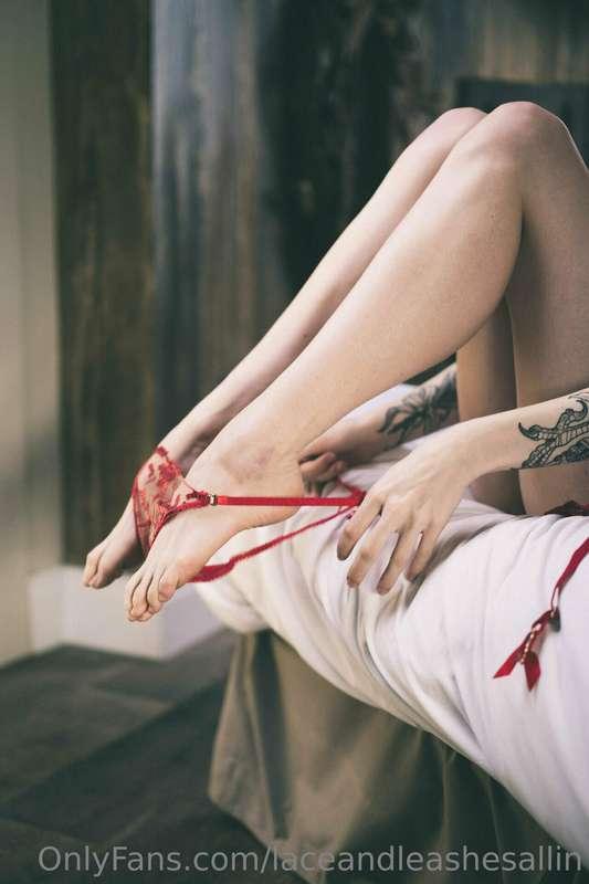 laceandleashesallin image #17