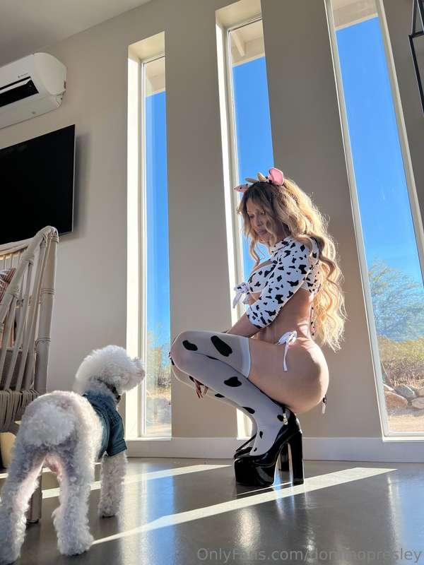 Just a cow and her curious little friend 🐮🐾