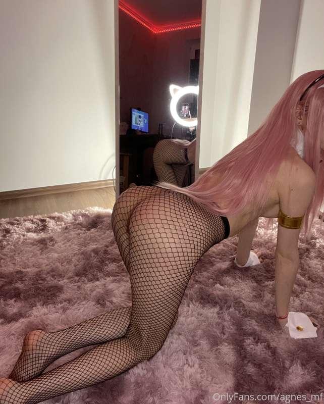 Miaw!