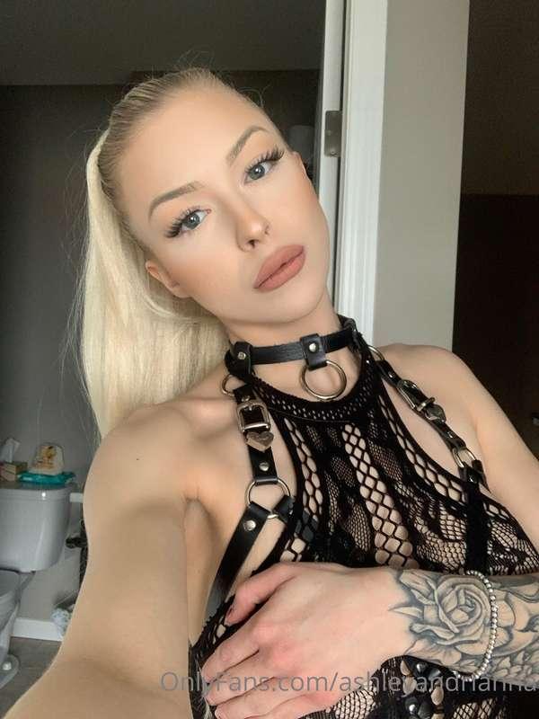 Meow 😼