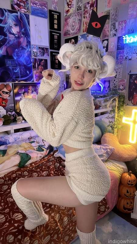 indigowhite image #124