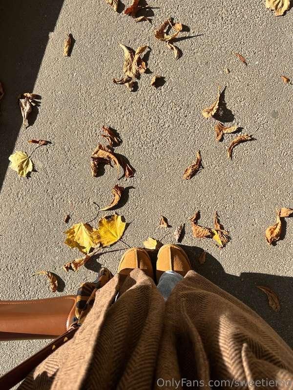 I love autumn for so many reasons🍂 First of all, the weather..