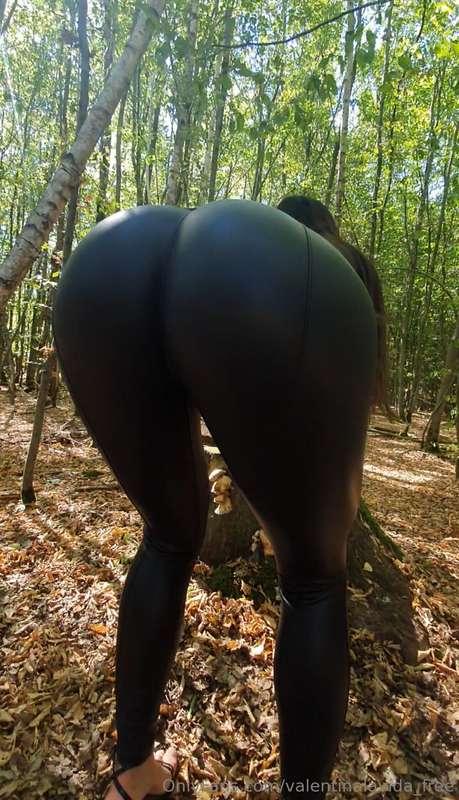 It's throwback Thursday💥💥💥
Today in the forest 🌳🍂 just you a..