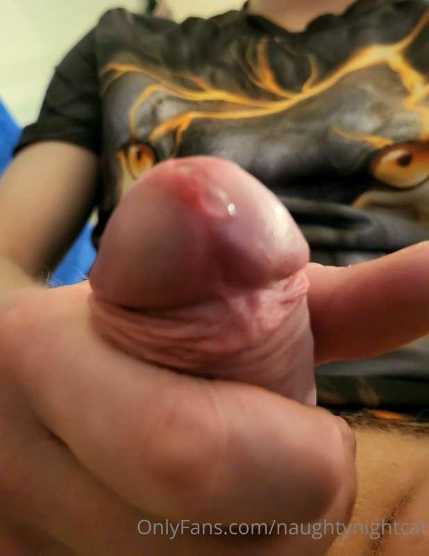 naughtynightcat image #3