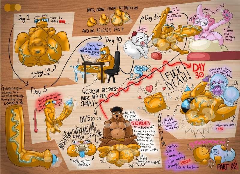 NNN 2022 1/2 (COLORED)