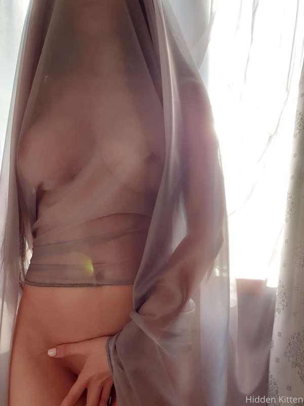 hiddenkittenfun image #0