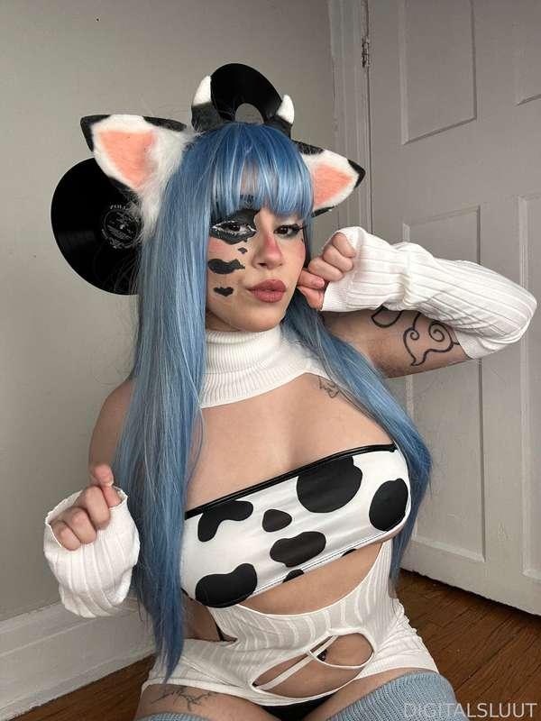 bunnisluut image #9