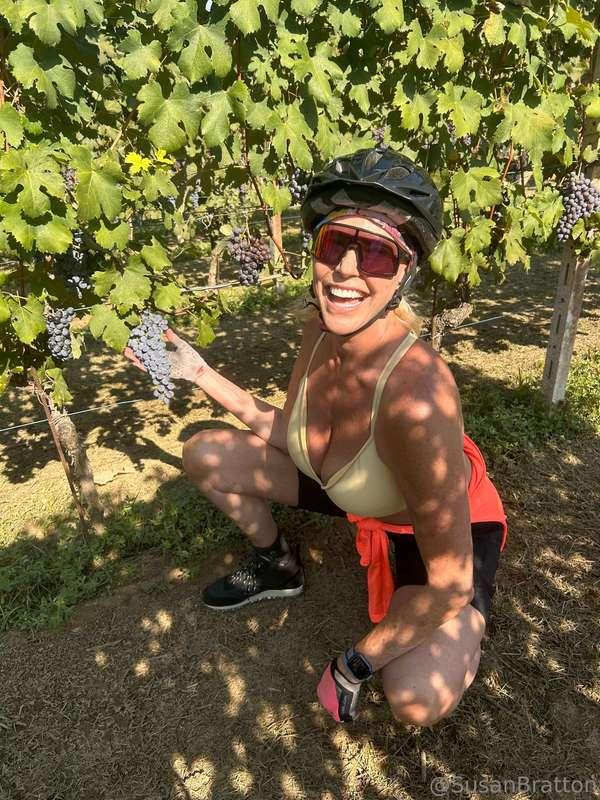 Fun pics from Italy. Today we are driving from Piedmont to t..