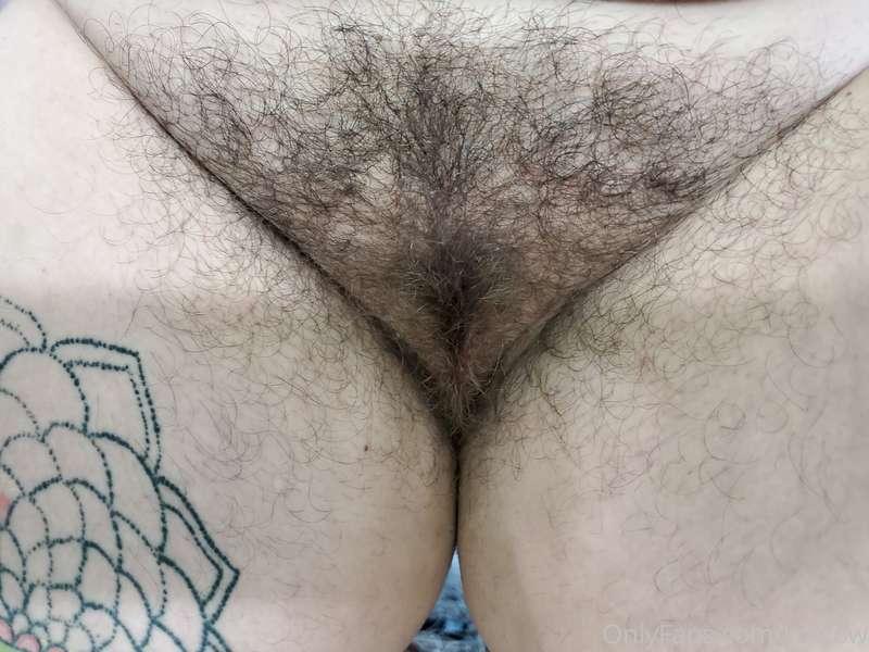 A bunch of bush pics from different angles!