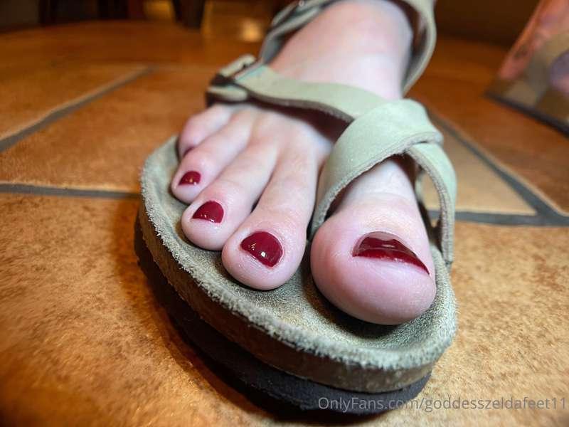 goddesszeldafeet11 image #5